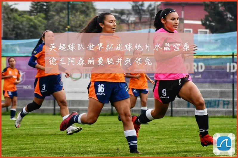英超球队世界杯进球统计水晶宫桑德兰阿森纳曼联并列领先